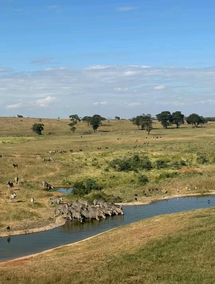 Magical Maasai Mara